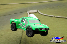 2015 DM 4WD Buggy 4WD Juni